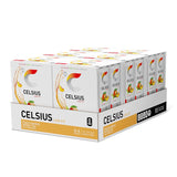 CELSIUS Sparkling Functional Lifestyle Fitness Essential Energy Drink, 12 Fl Oz (12-Pack)