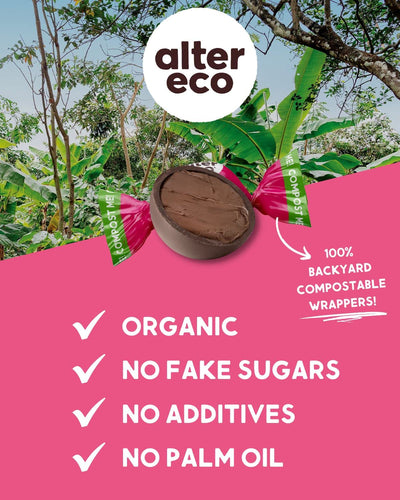 Alter Eco 58% Dark Cocoa Fair Trade Organic Sea Salt Chocolate Truffles - 10-count