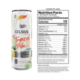 CELSIUS Sparkling Functional Lifestyle Fitness Essential Energy Drink, 12 Fl Oz (12-Pack)