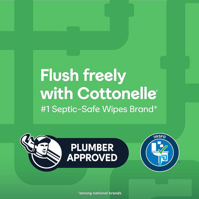 Cottonelle GentlePlus Flushable Wet Wipes with Aloe & Vitamin E (6 Packs of 42 Wipes) - Prime Office Products -