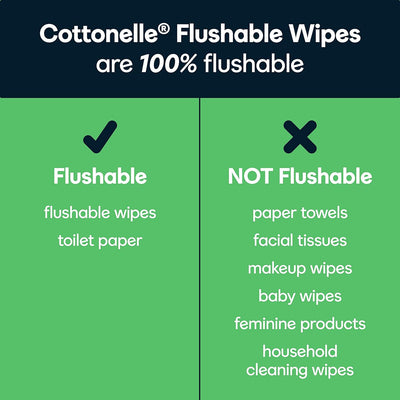 Cottonelle GentlePlus Flushable Wet Wipes with Aloe & Vitamin E (6 Packs of 42 Wipes) - Prime Office Products -